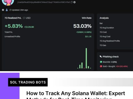 How to Track Any Solana Wallet: Expert Methods for Real-Time Monitoring